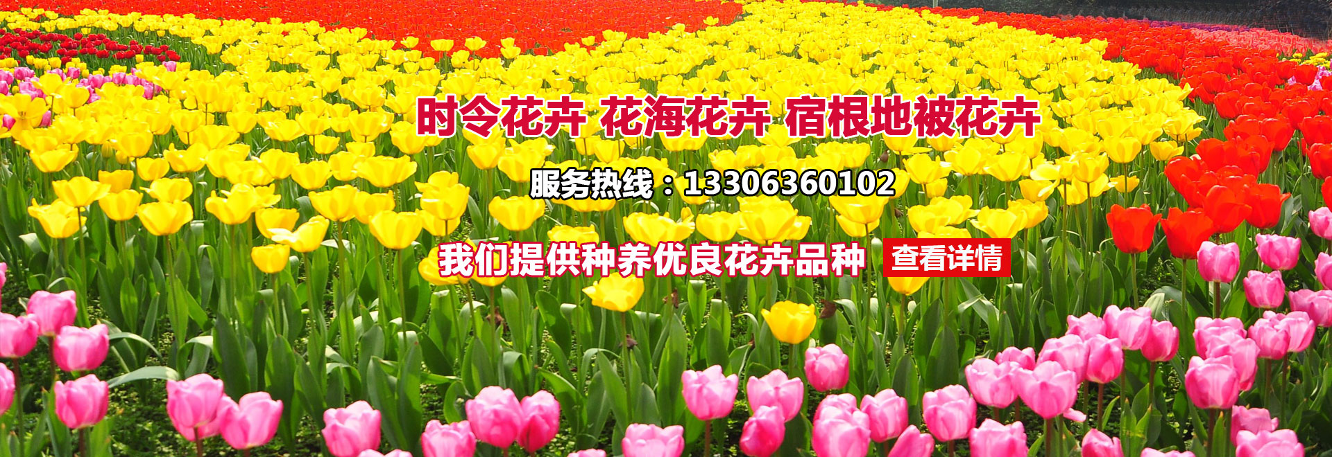 推動式電磁鐵定制表